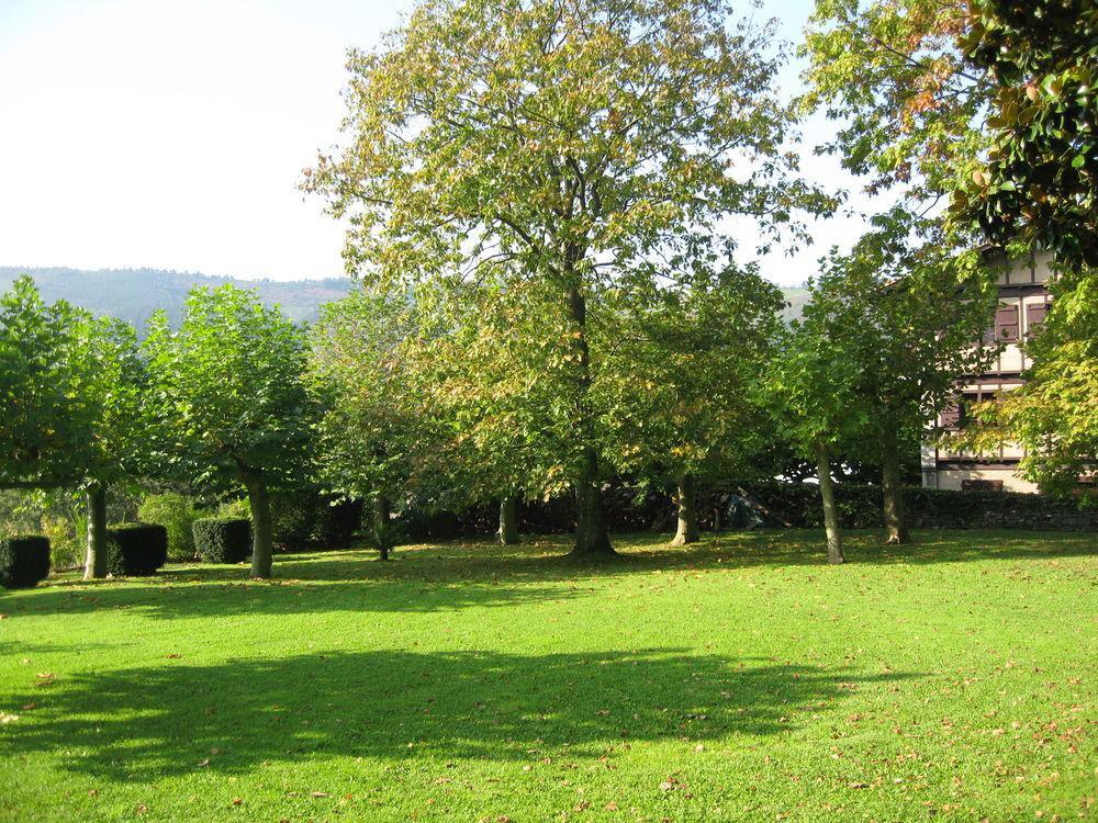Les Jardins De Bakea